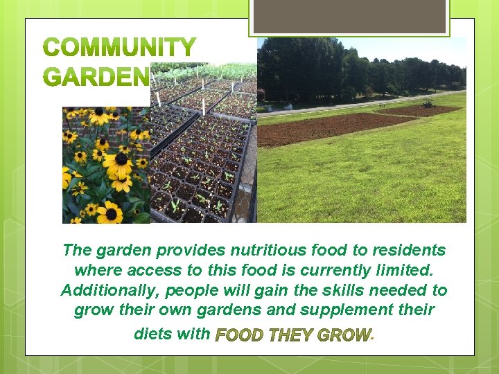 The garden provides nutritious food to residents where access to this food is currently