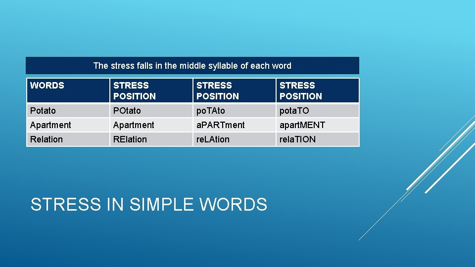 The stress falls in the middle syllable of each word WORDS STRESS POSITION Potato