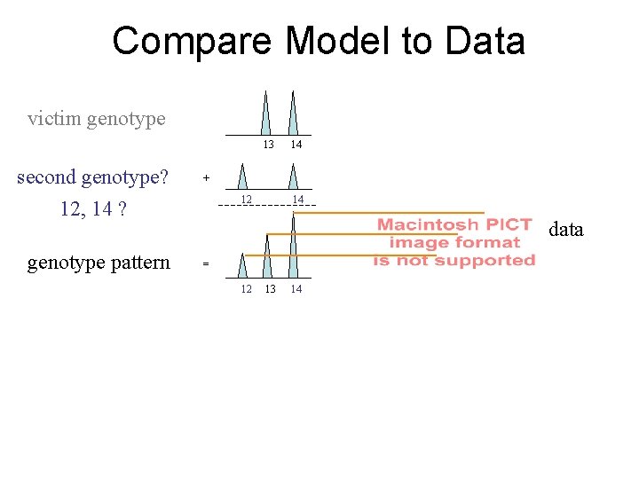 Compare Model to Data victim genotype 13 second genotype? 12, 14 ? genotype pattern
