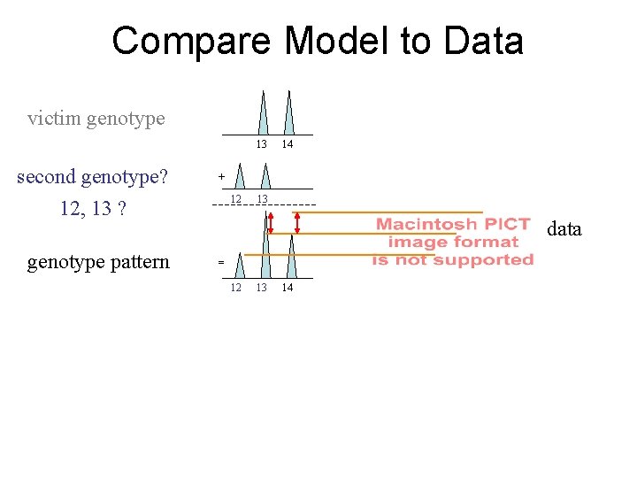 Compare Model to Data victim genotype 13 second genotype? 12, 13 ? genotype pattern