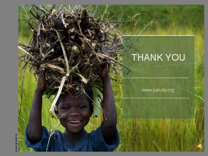 THANK YOU © Kate Holt / WWF-UK www. panda. org 10/24/2021 - 18 THANK YOU © Kate Holt / WWF-UK www. panda. org 10/24/2021 - 18