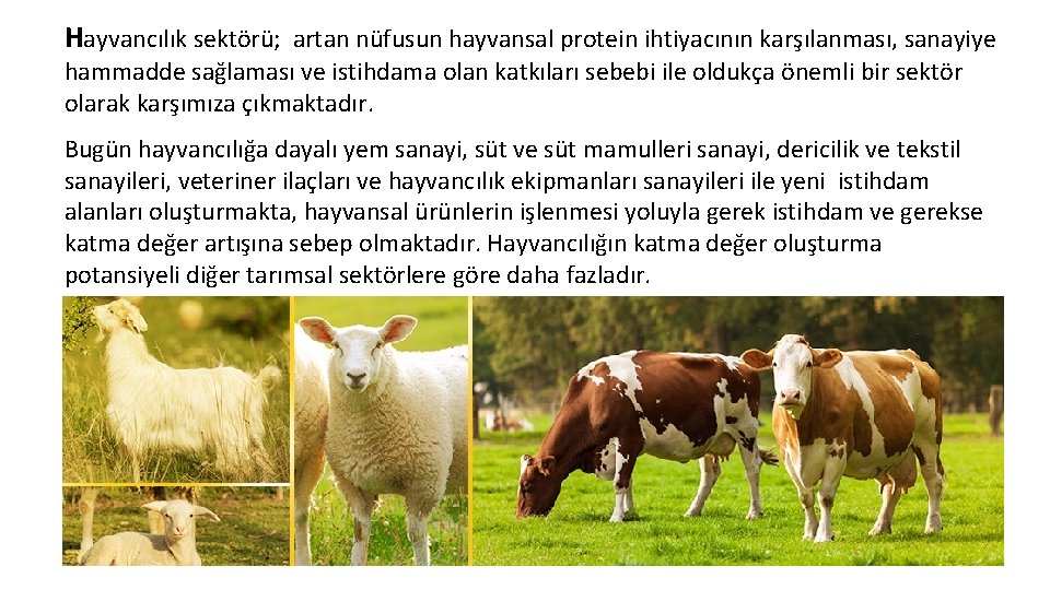 Hayvancılık sektörü; artan nüfusun hayvansal protein ihtiyacının karşılanması, sanayiye hammadde sağlaması ve istihdama olan