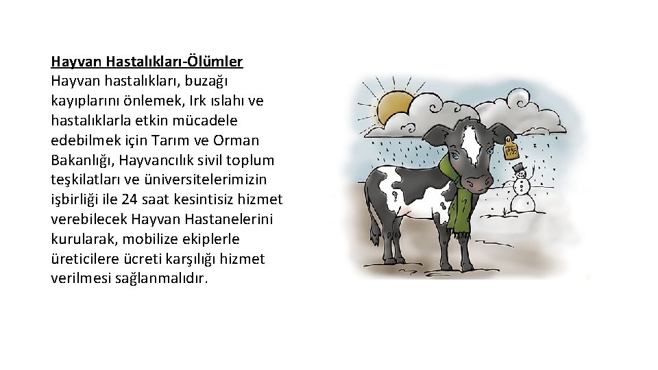 Hayvan Hastalıkları-Ölümler Hayvan hastalıkları, buzağı kayıplarını önlemek, Irk ıslahı ve hastalıklarla etkin mücadele edebilmek