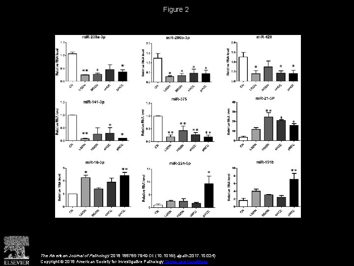Figure 2 The American Journal of Pathology 2018 188785 -794 DOI: (10. 1016/j. ajpath.