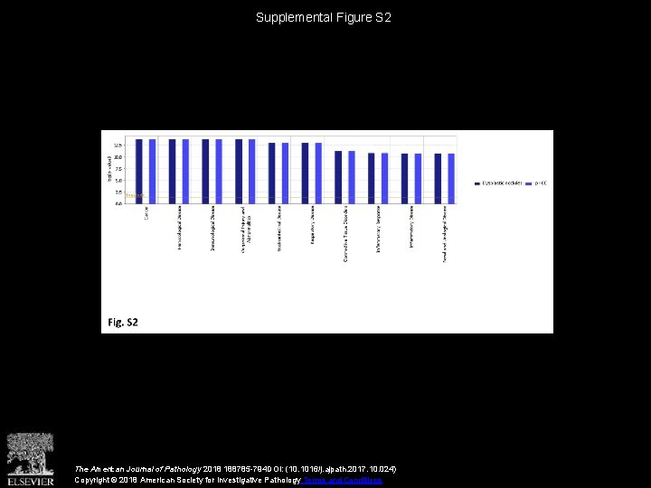 Supplemental Figure S 2 The American Journal of Pathology 2018 188785 -794 DOI: (10.
