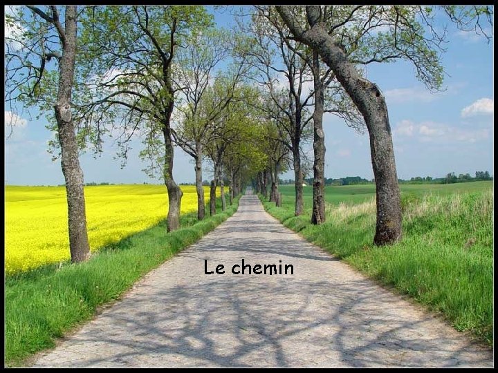 Le chemin 