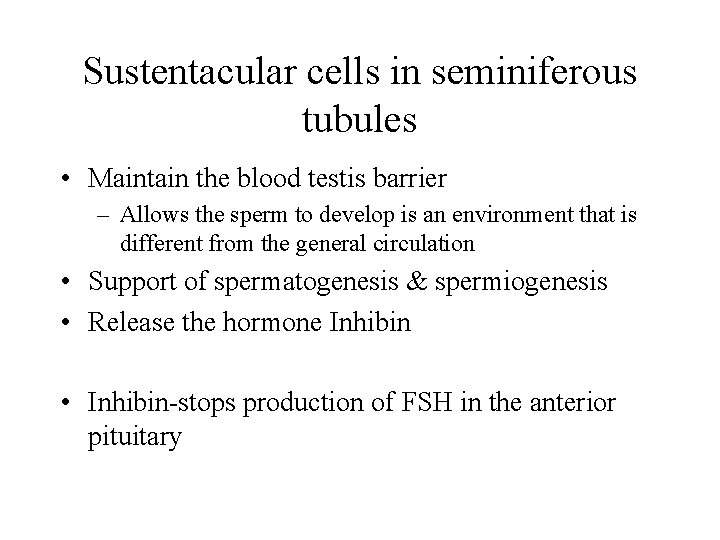 Sustentacular cells in seminiferous tubules • Maintain the blood testis barrier – Allows the