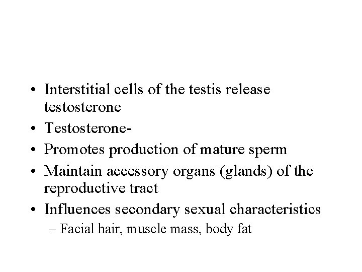  • Interstitial cells of the testis release testosterone • Testosterone • Promotes production