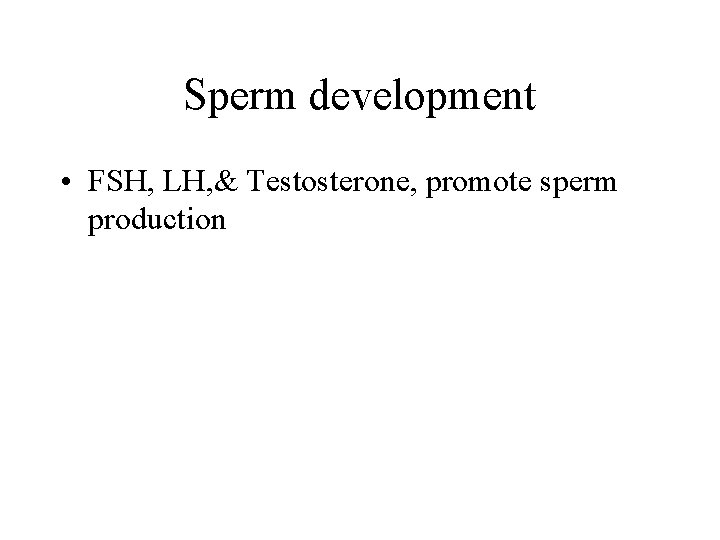 Sperm development • FSH, LH, & Testosterone, promote sperm production 