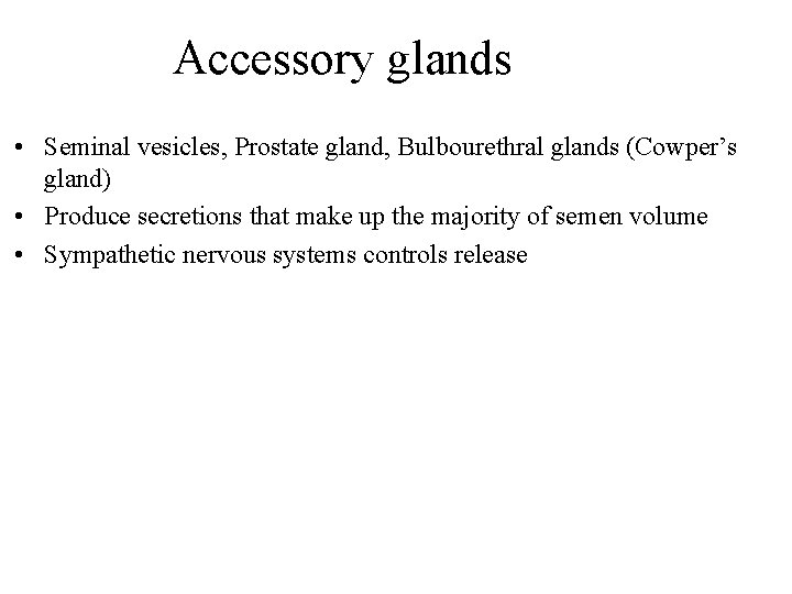 Accessory glands • Seminal vesicles, Prostate gland, Bulbourethral glands (Cowper’s gland) • Produce secretions