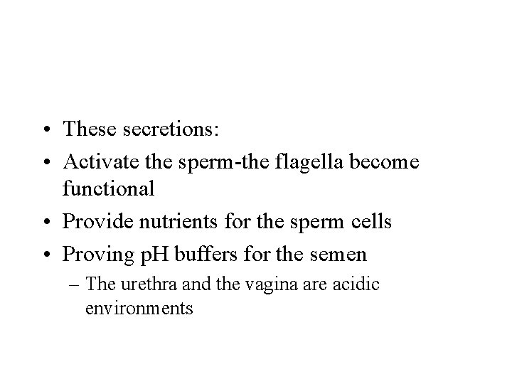  • These secretions: • Activate the sperm-the flagella become functional • Provide nutrients