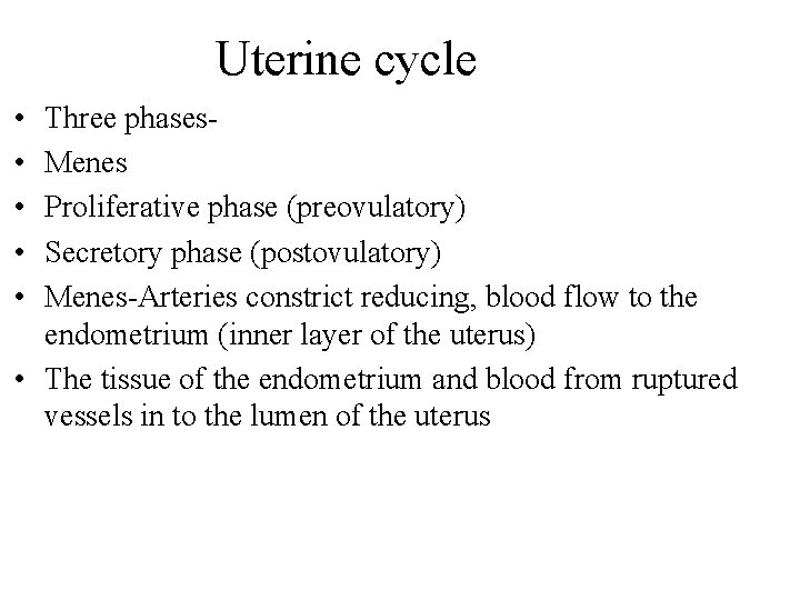 Uterine cycle • • • Three phases. Menes Proliferative phase (preovulatory) Secretory phase (postovulatory)
