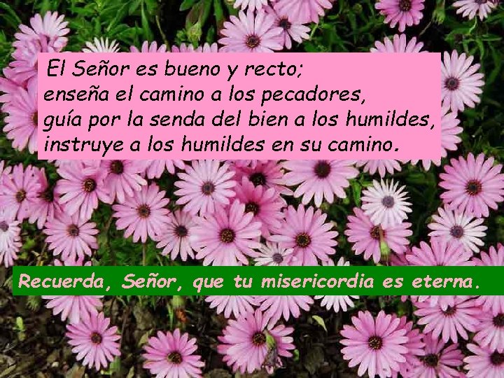 El Señor es bueno y recto; enseña el camino a los pecadores, guía por