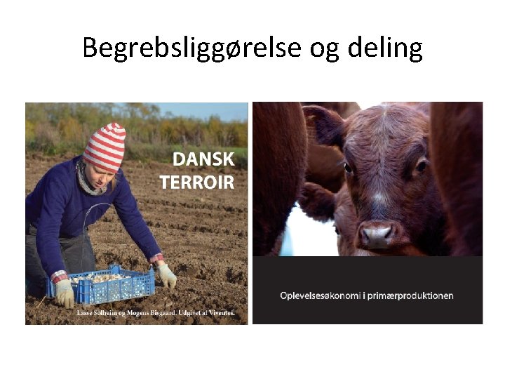 Begrebsliggørelse og deling 