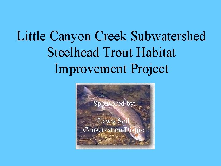Little Canyon Creek Subwatershed Steelhead Trout Habitat Improvement Project Sponsored by: Lewis Soil Conservation