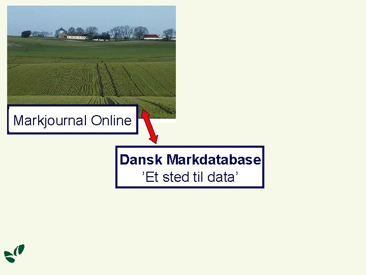 Markjournal Online Dansk Markdatabase ’Et sted til data’ 