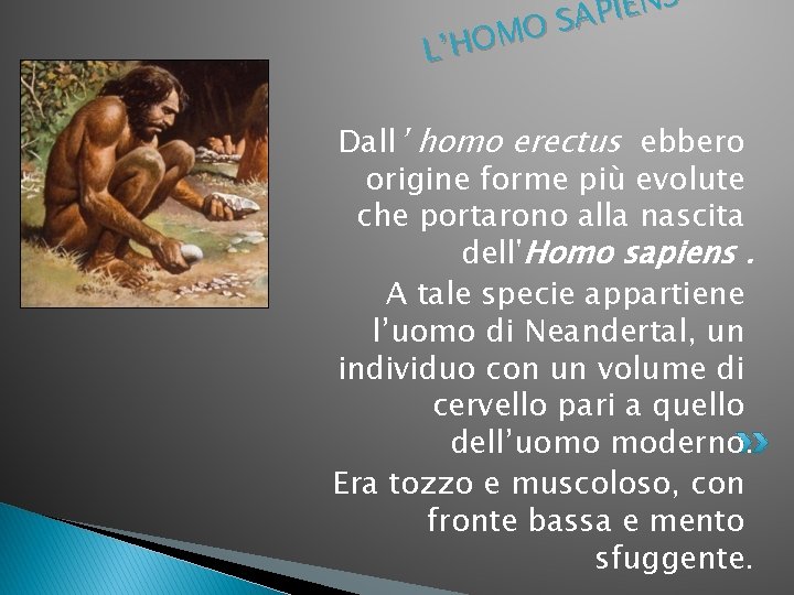 S N E I AP S O M O H ’ L Dall’ homo