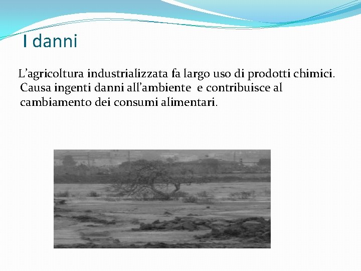 I danni L’agricoltura industrializzata fa largo uso di prodotti chimici. Causa ingenti danni all’ambiente