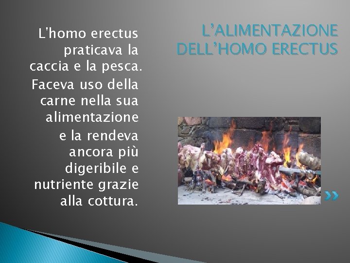 L'homo erectus praticava la caccia e la pesca. Faceva uso della carne nella sua