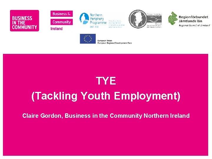 TYE (Tackling Youth Employment) Claire Gordon, Business in the Community Northern Ireland www. bitc.