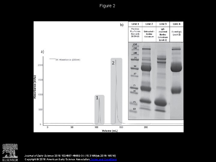 Figure 2 Journal of Dairy Science 2019 1024857 -4869 DOI: (10. 3168/jds. 2018 -16016)