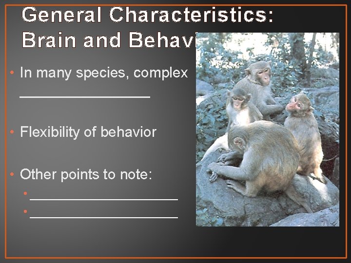 General Characteristics: Brain and Behavior • In many species, complex ________ • Flexibility of