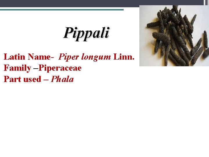 Pippali Latin Name- Piper longum Linn. Family –Piperaceae Part used – Phala 