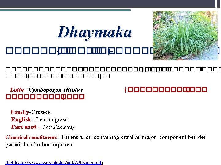 Dhaymaka ���� (����� )- ���������� ��������� ||��� || ������ , ��������� | Latin –Cymbopogon