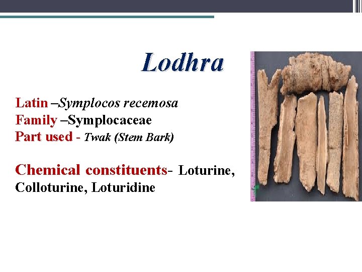 Lodhra Latin –Symplocos recemosa Family –Symplocaceae Part used - Twak (Stem Bark) Chemical constituents-