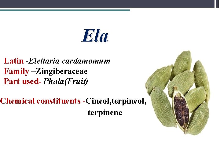 Ela Latin -Elettaria cardamomum Family –Zingiberaceae Part used- Phala(Fruit) Chemical constituents -Cineol, terpinene 