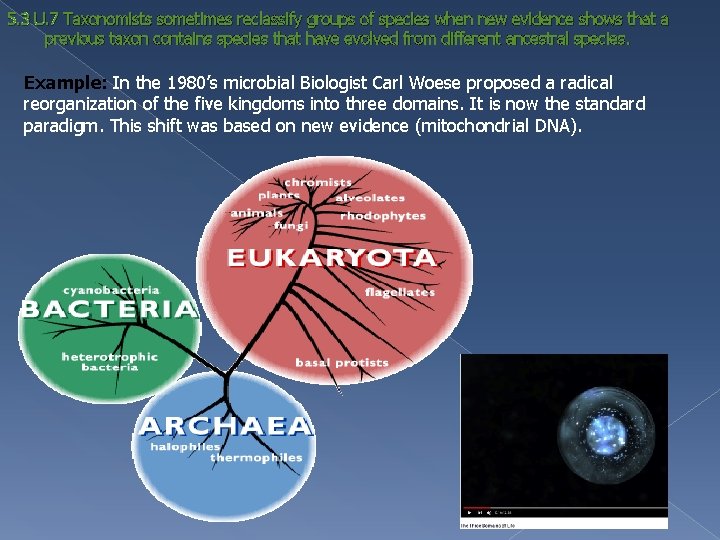 5. 3 U. 7 Taxonomists sometimes reclassify groups of species when new evidence shows