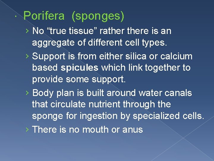  Porifera (sponges) › No “true tissue” rathere is an aggregate of different cell