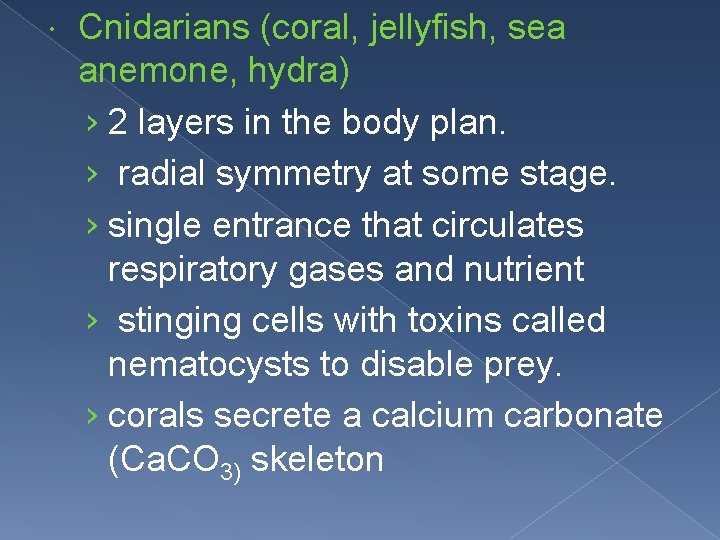  Cnidarians (coral, jellyfish, sea anemone, hydra) › 2 layers in the body plan.