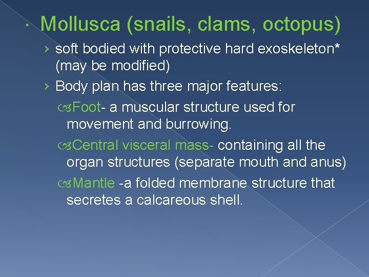  Mollusca (snails, clams, octopus) › soft bodied with protective hard exoskeleton* (may be