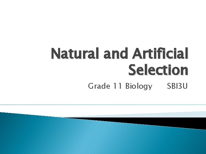 Natural and Artificial Selection Grade 11 Biology SBI 3 U 