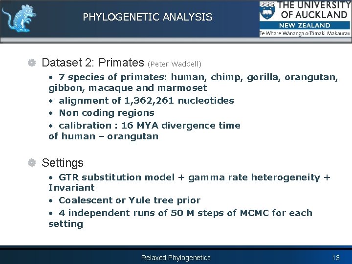 PHYLOGENETIC ANALYSIS Dataset 2: Primates (Peter Waddell) • 7 species of primates: human, chimp,