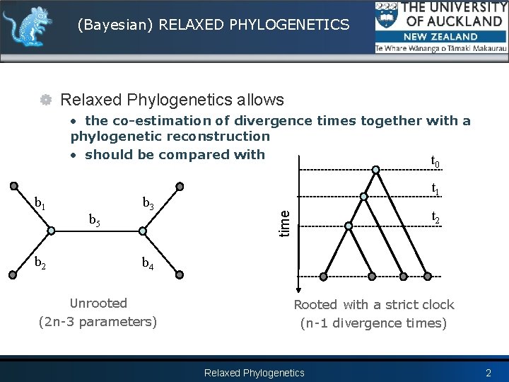 (Bayesian) RELAXED PHYLOGENETICS Relaxed Phylogenetics allows • the co-estimation of divergence times together with