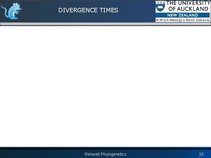 DIVERGENCE TIMES Relaxed Phylogenetics 20 