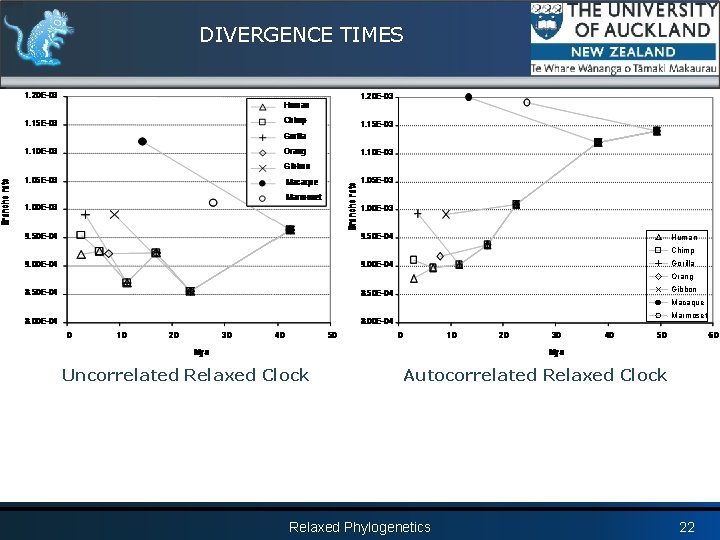 DIVERGENCE TIMES Human Chimp Gorilla Orang Gibbon Macaque Marmoset Uncorrelated Relaxed Clock Autocorrelated Relaxed