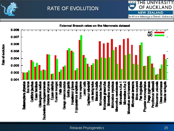 RATE OF EVOLUTION Relaxed Phylogenetics 25 