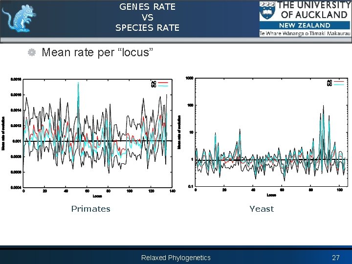 GENES RATE VS SPECIES RATE Mean rate per “locus” Primates Yeast Relaxed Phylogenetics 27