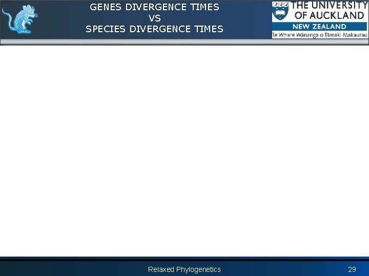 GENES DIVERGENCE TIMES VS SPECIES DIVERGENCE TIMES Relaxed Phylogenetics 29 