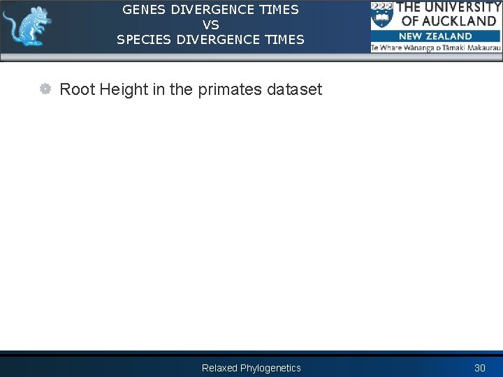 GENES DIVERGENCE TIMES VS SPECIES DIVERGENCE TIMES Root Height in the primates dataset Relaxed