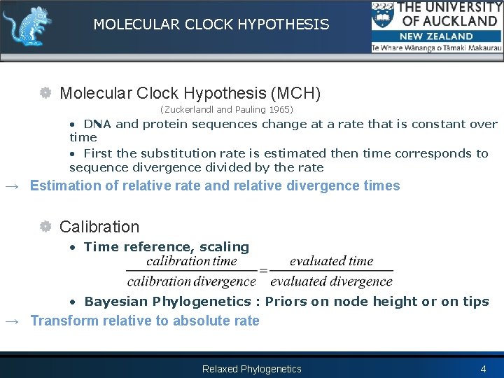 MOLECULAR CLOCK HYPOTHESIS Molecular Clock Hypothesis (MCH) (Zuckerlandl and Pauling 1965) • DNA and