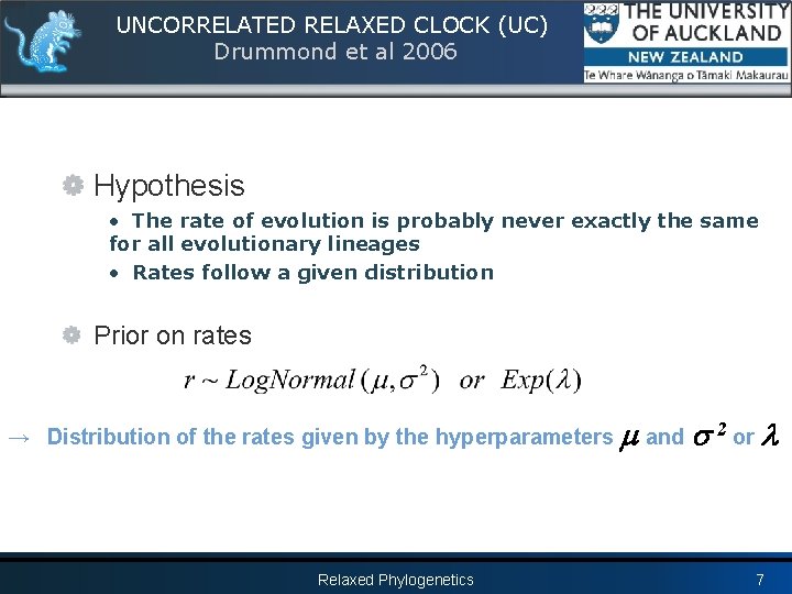 UNCORRELATED RELAXED CLOCK (UC) Drummond et al 2006 Hypothesis • The rate of evolution