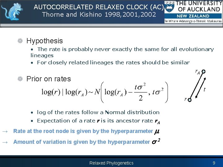 AUTOCORRELATED RELAXED CLOCK (AC) Thorne and Kishino 1998, 2001, 2002 Hypothesis • The rate
