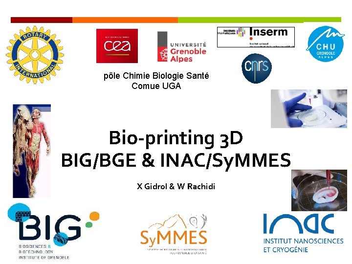 pôle Chimie Biologie Santé Comue UGA Bio-printing 3 D BIG/BGE & INAC/Sy. MMES X