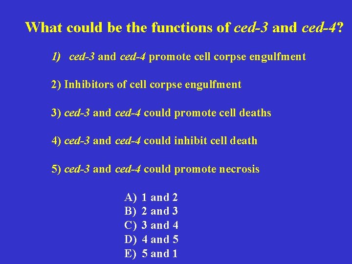 What could be the functions of ced-3 and ced-4? 1) ced-3 and ced-4 promote
