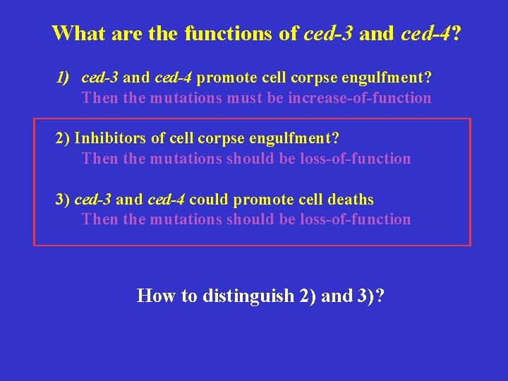 What are the functions of ced-3 and ced-4? 1) ced-3 and ced-4 promote cell
