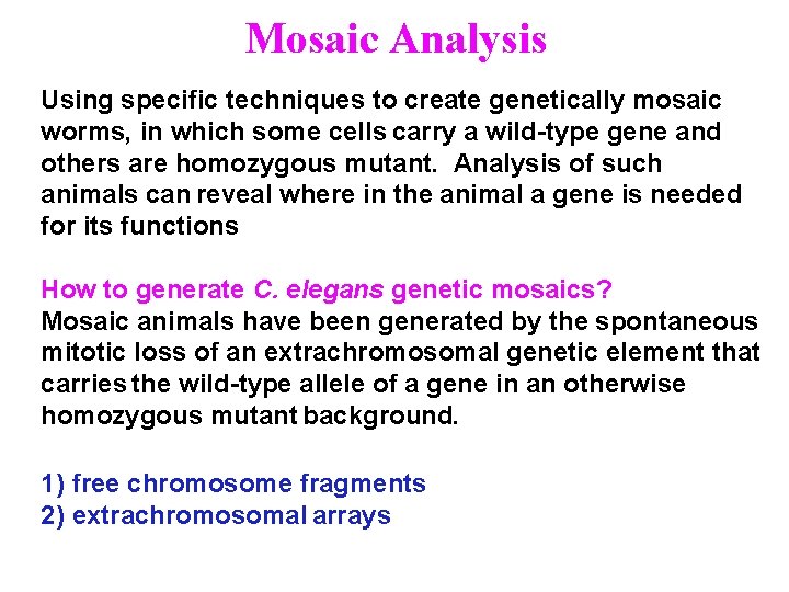 Mosaic Analysis Using specific techniques to create genetically mosaic worms, in which some cells